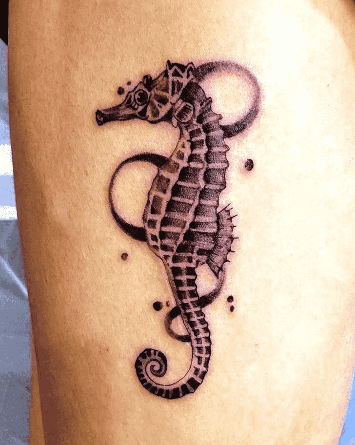 Seahorse Tattoo Picture