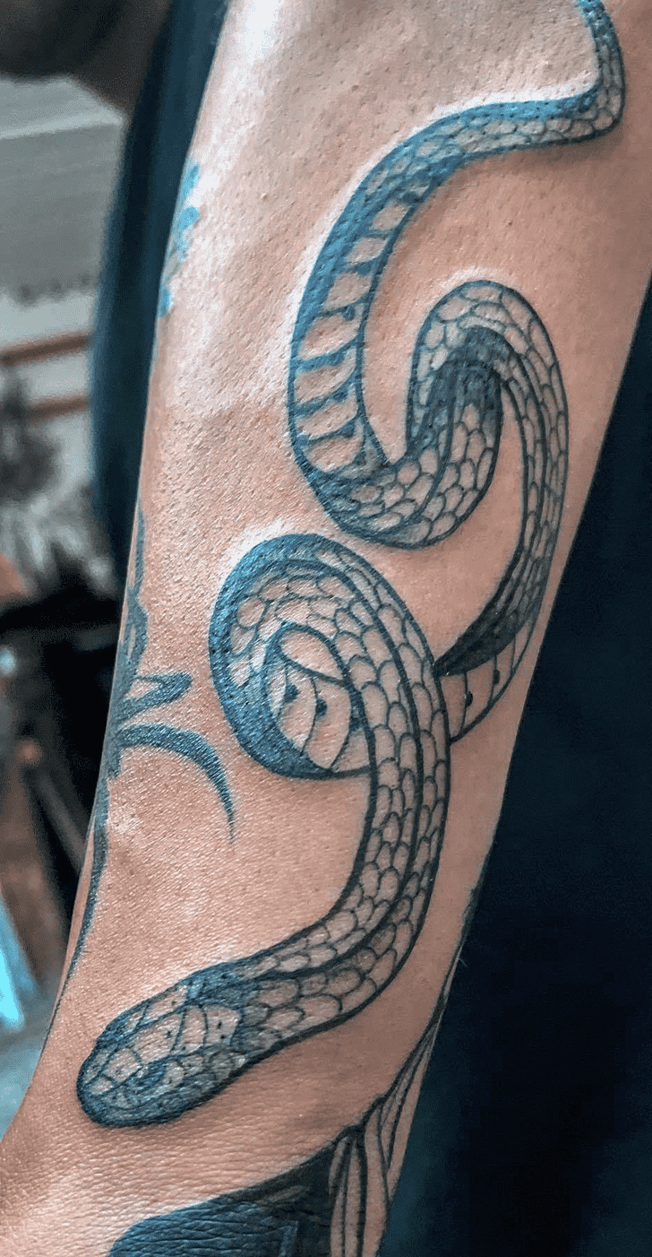 Serpiente Tattoo Portrait