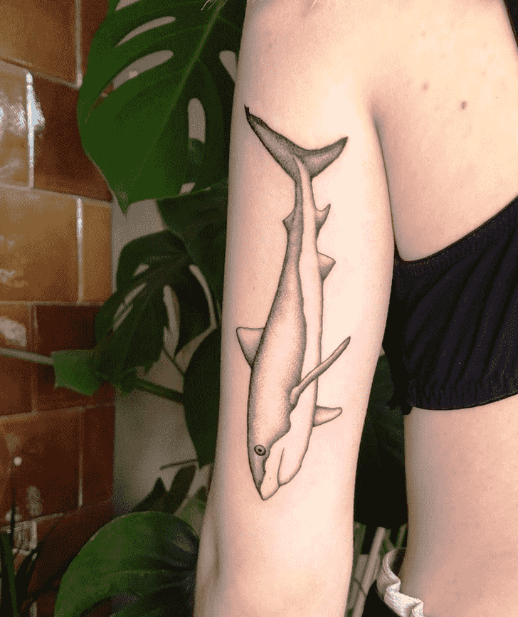 Shark Tattoo Portrait