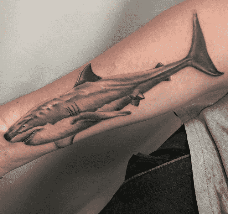 Shark Tattoo Ink