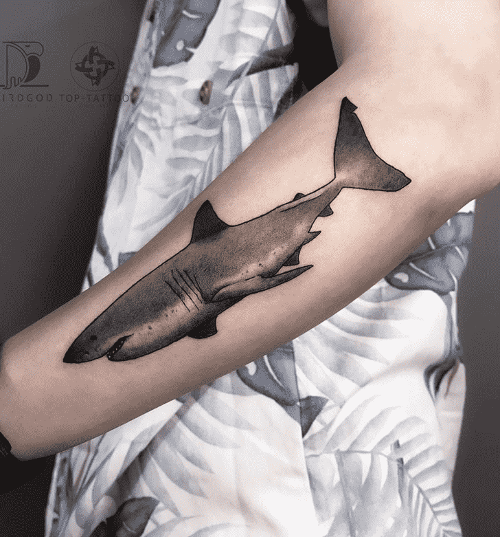 Shark Tattoo Photos