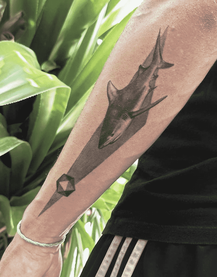 Shark Tattoo Design Image