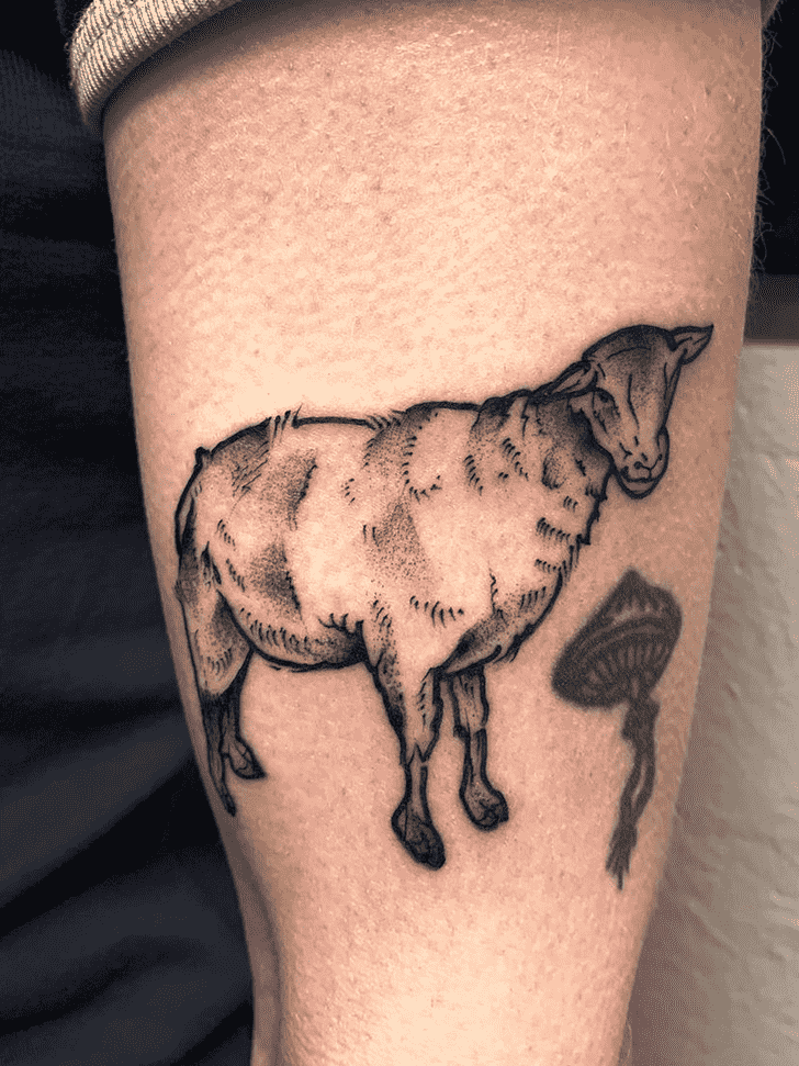 Sheep Tattoo Portrait