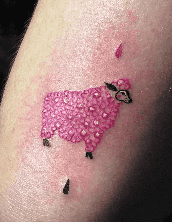 Sheep Tattoo Shot