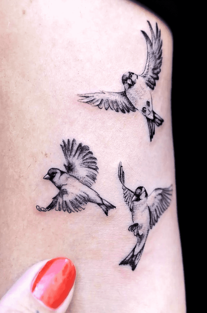 Small Bird Tattoo Shot