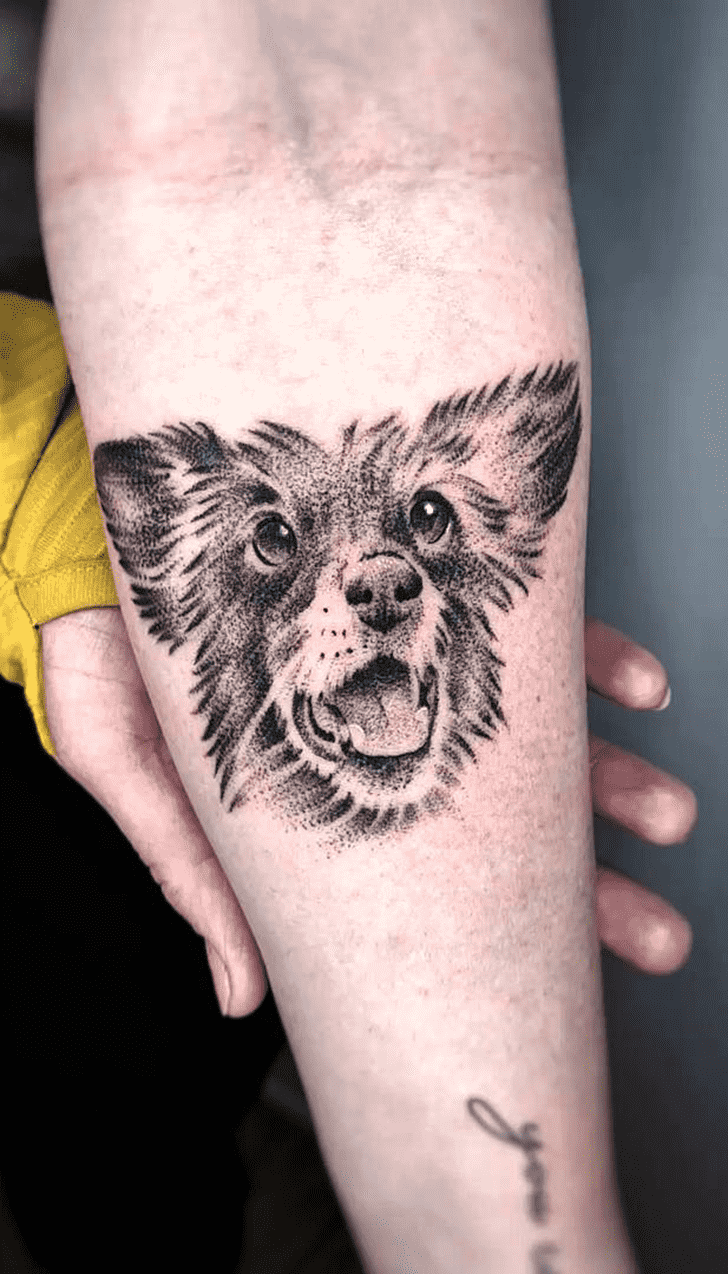 Small Dog Tattoo Photos