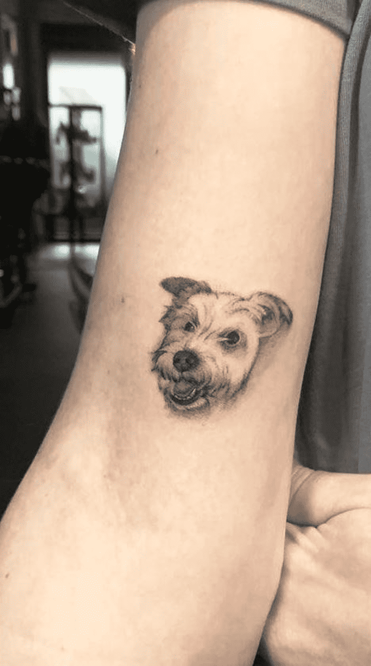 Small Dog Tattoo Portrait