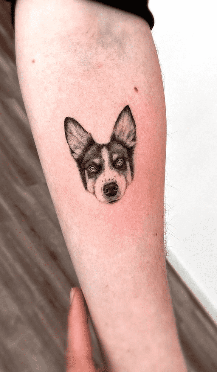 Small Dog Tattoo Shot