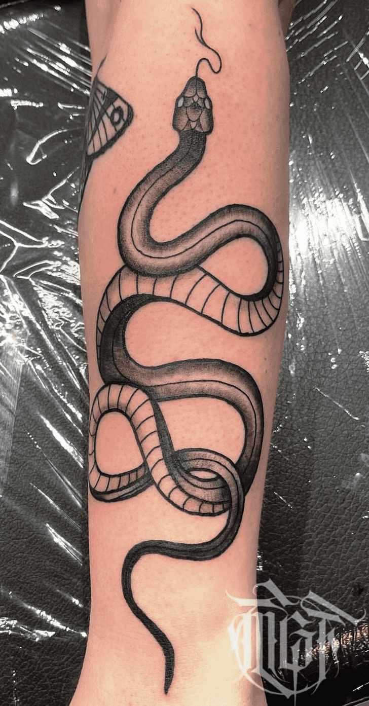 Snake Tattoo Picture