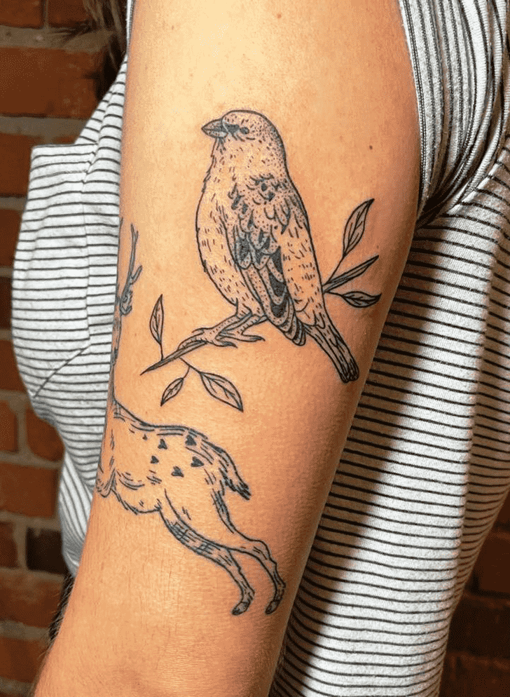 Sparrow Tattoo Photo