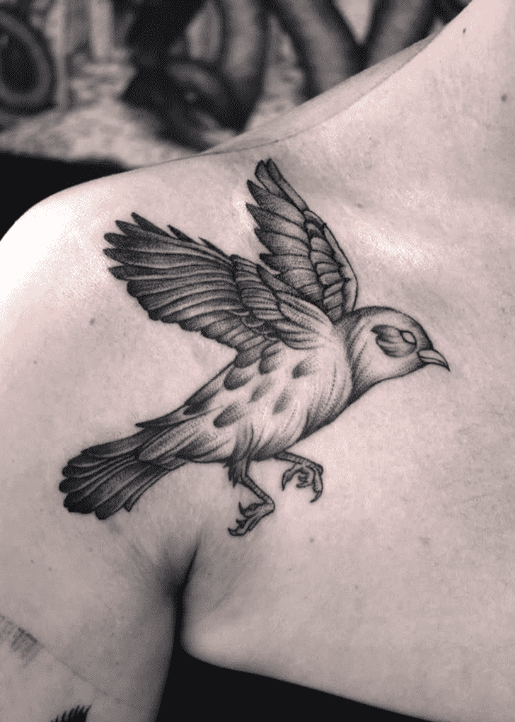 Sparrow Tattoo Snapshot