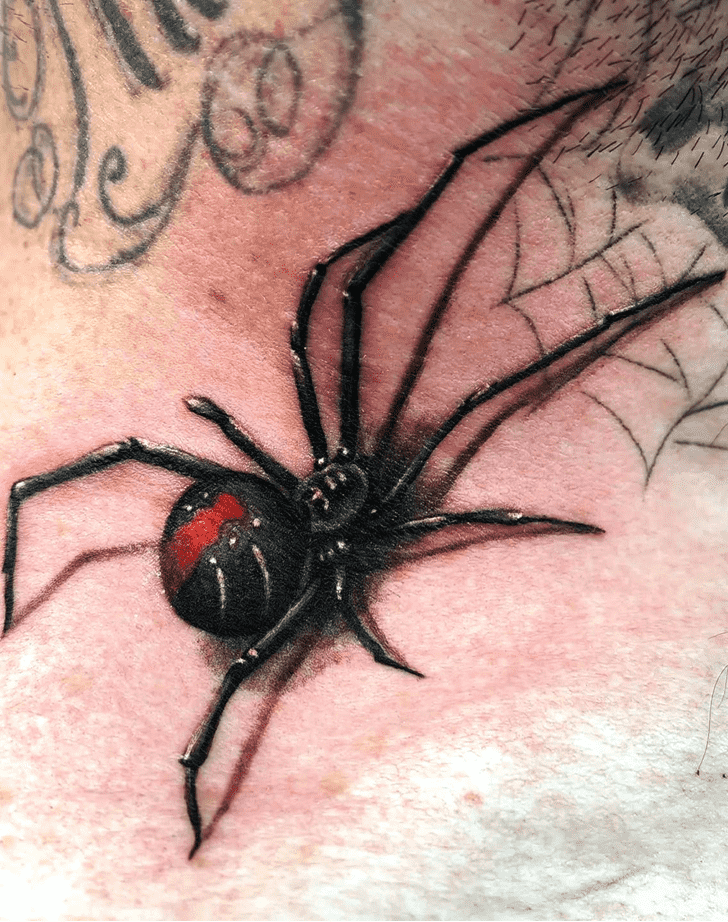 Spider Tattoo Photo