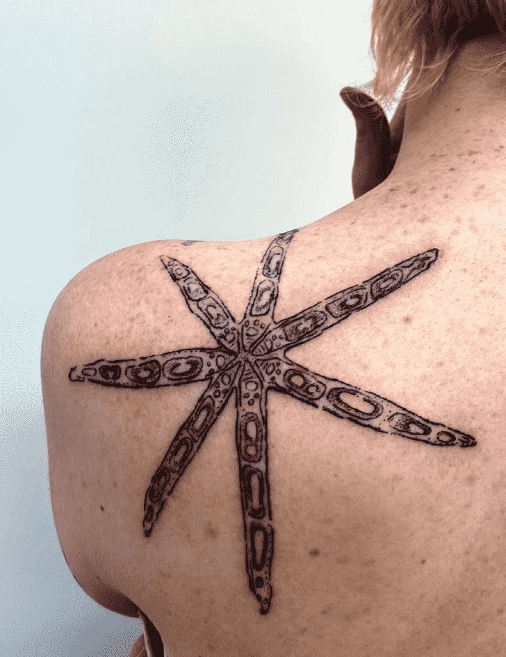 Starfish Tattoo Photos