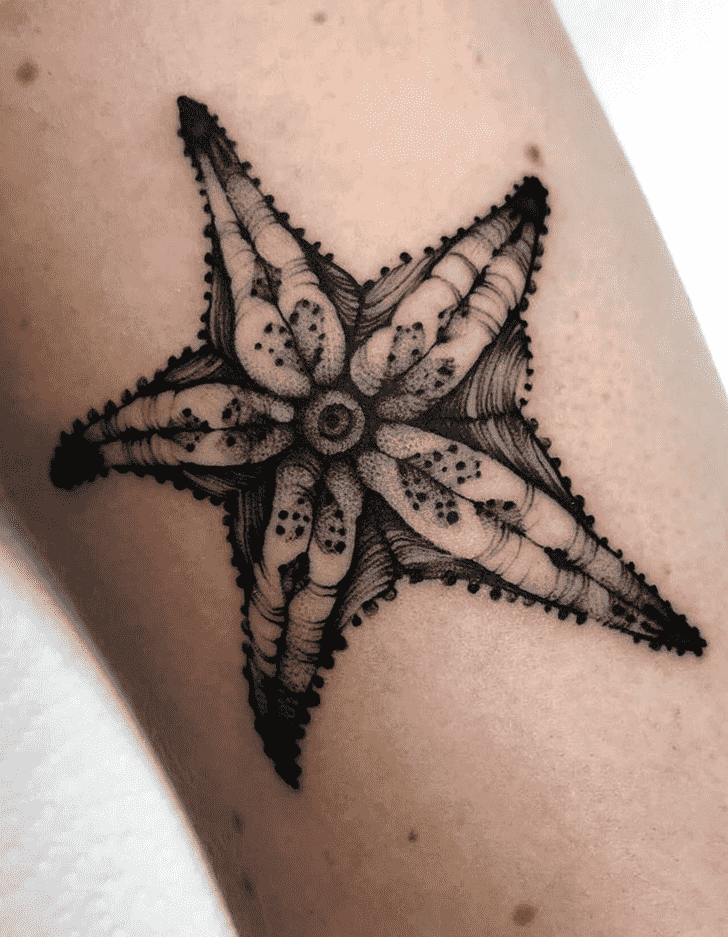 Starfish Tattoo Snapshot