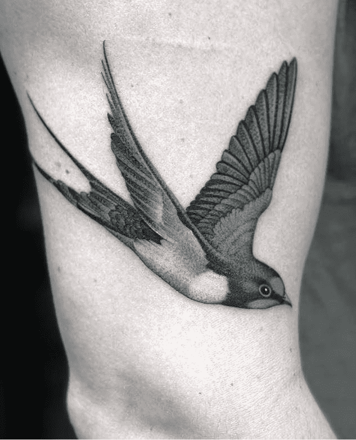 Swallow Bird Tattoo Photograph