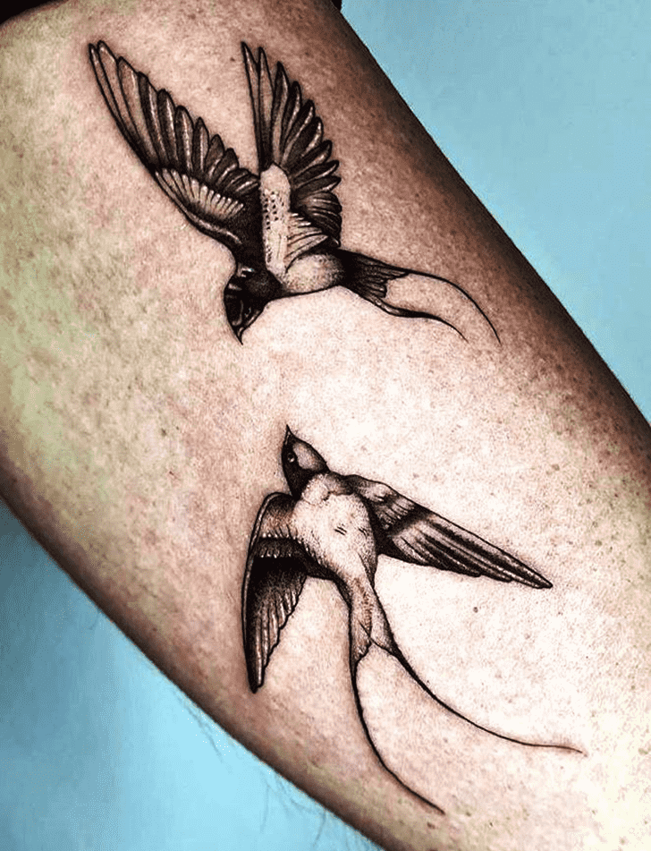 Swallow Bird Tattoo Photos