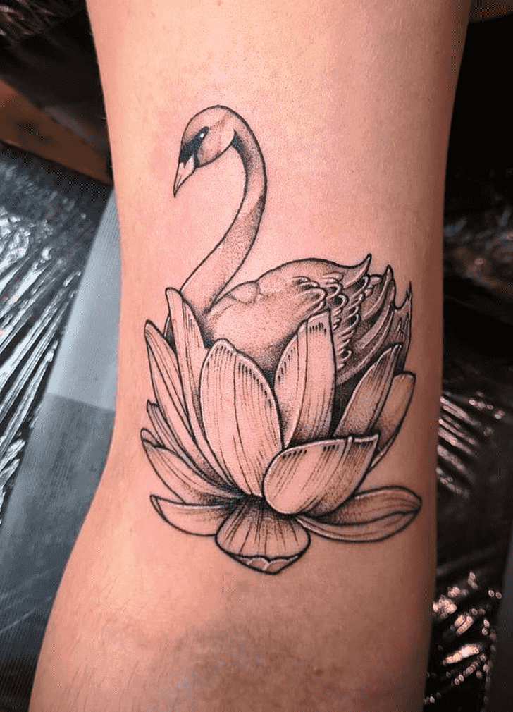 Swan Tattoo Design Image