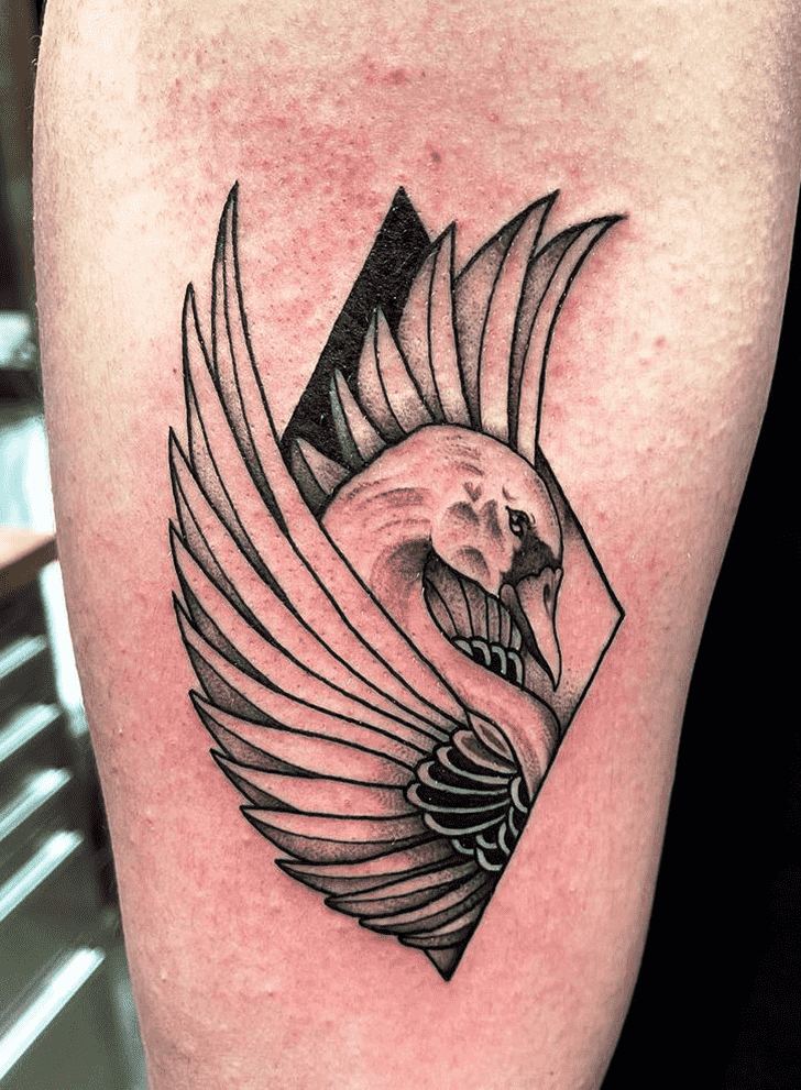 Swan Tattoo Photograph