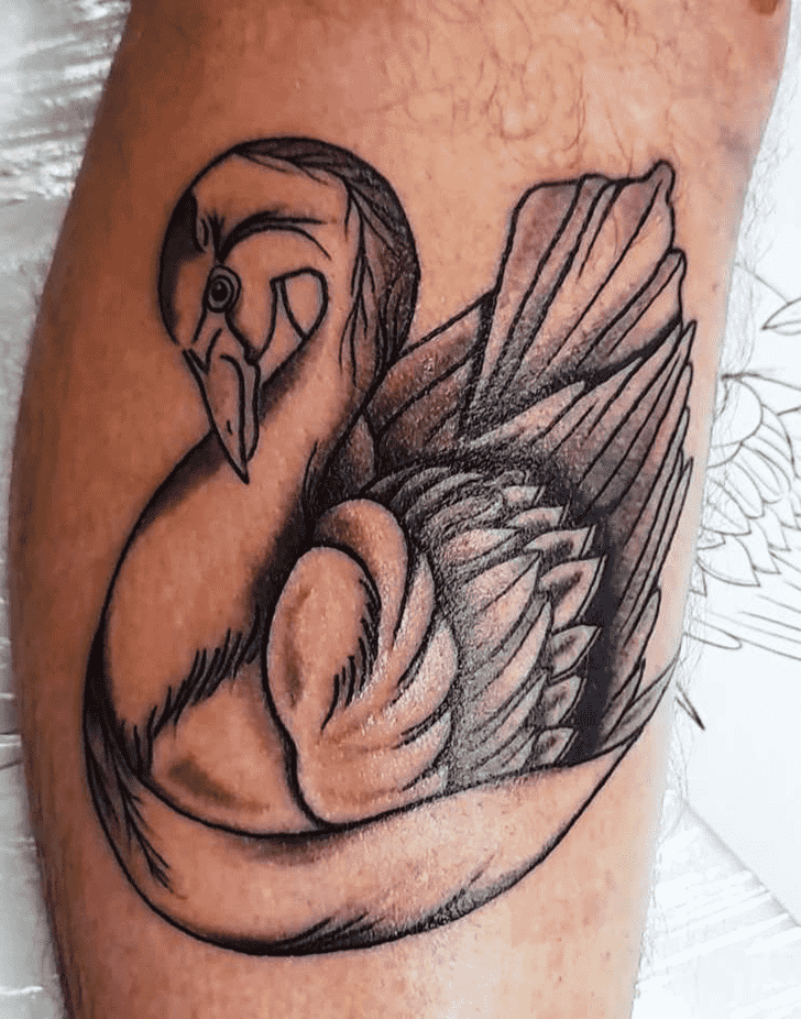 Swan Tattoo Picture