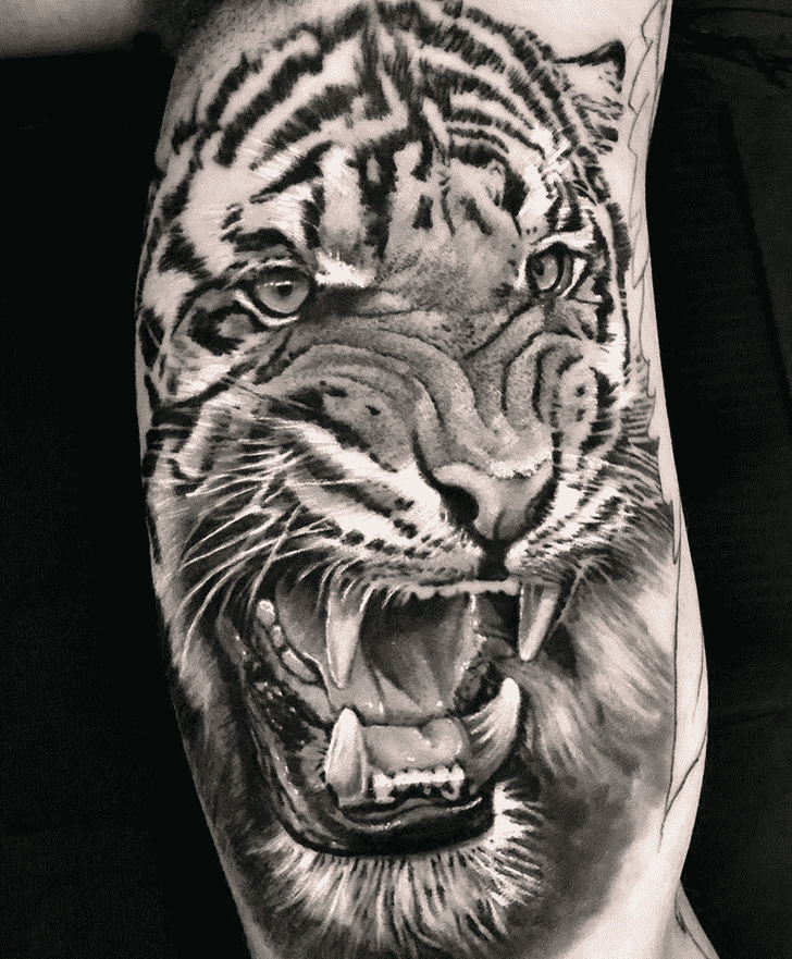 Tiger Tattoo Figure