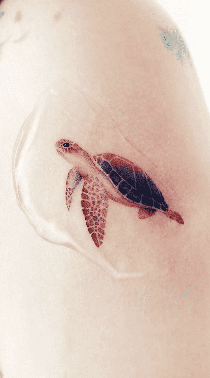 Tortoise Tattoo Shot