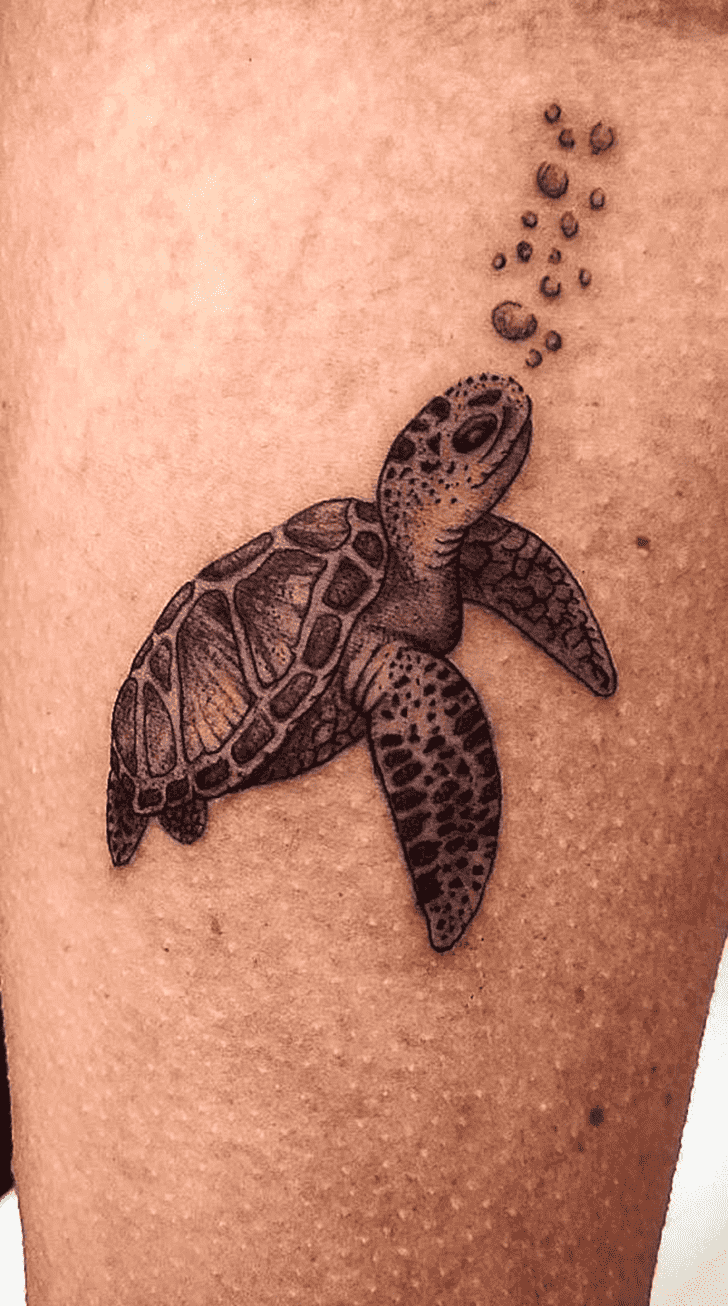 Tortoise Tattoo Snapshot