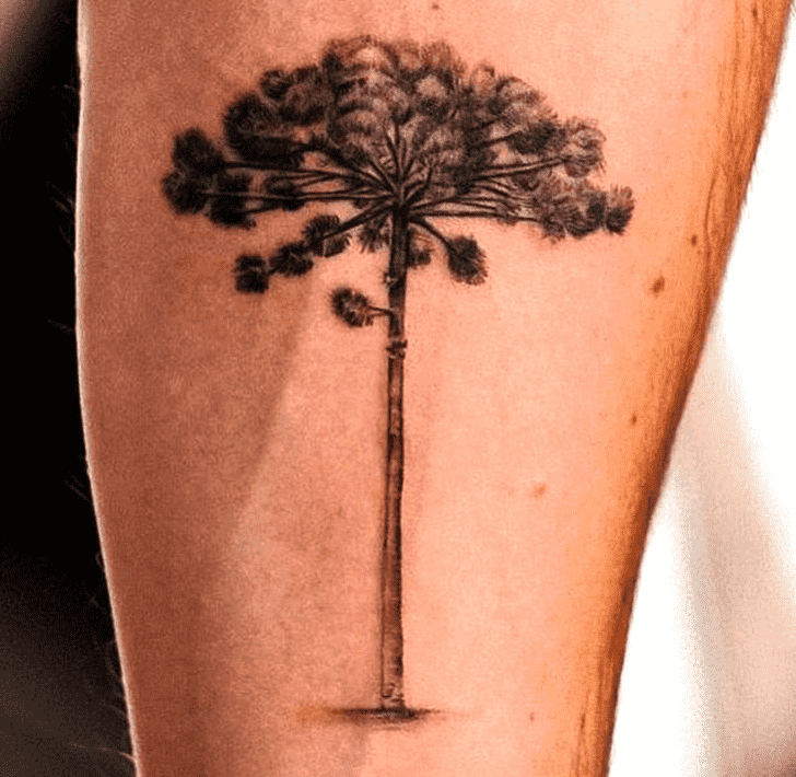 Tree Tattoo Portrait