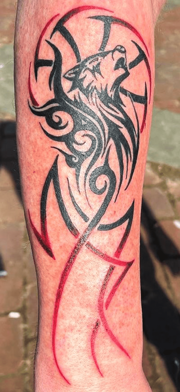 Tribal Wolf Tattoo Photos