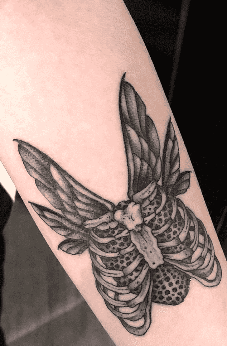 Wings Tattoo Photo