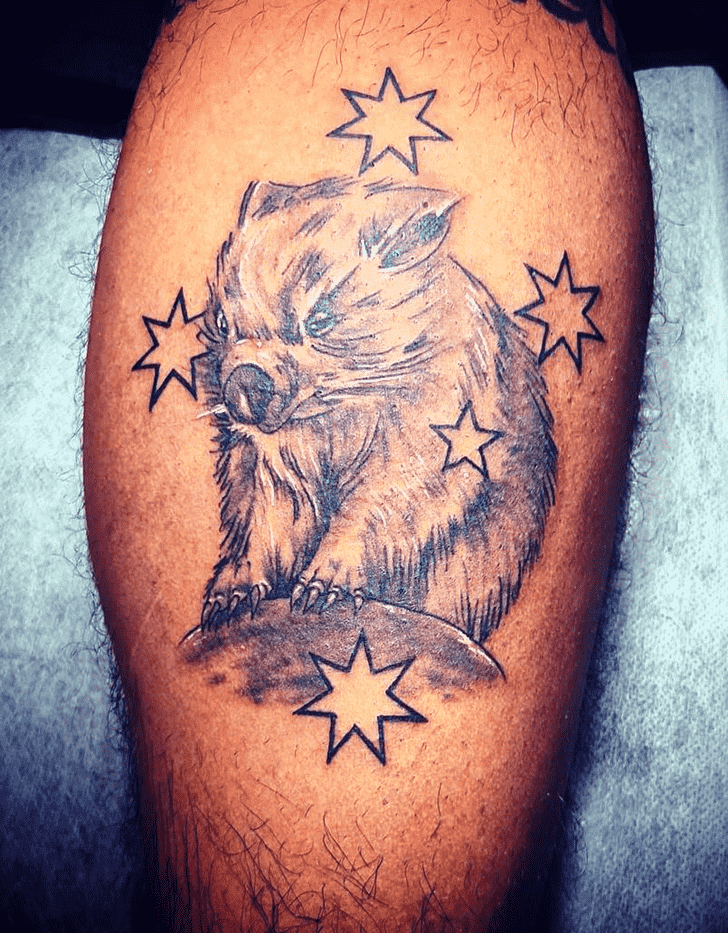 Wombat Tattoo Picture