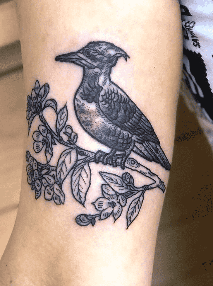 Woodpecker Tattoo Design Image
